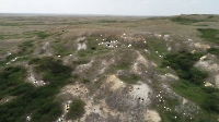 Урочище Уклонная жила