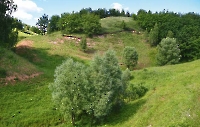 Урочище Гуйлисма