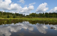 Урочище Светлейшее (в т.ч. урочище Журавлиный Гай)