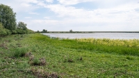 Озеро Копа. Июнь 2021 года