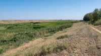 Овраг-водосброс Троицкого водохранилища. Август 2021 года