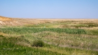 Овраг-водосброс Троицкого водохранилища. Август 2021 года