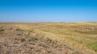 Овраг-водосброс Троицкого водохранилища. Август 2021 года