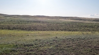 Гора Боевая