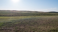 Гора Боевая. Июль 2019 года