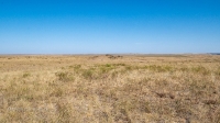 Гора Алеутас. Август 2021 года