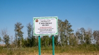 Соколиные колки