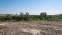 Урочище Прохладное. Август 2021 года