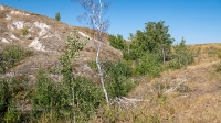 Овраг Белая Глина
