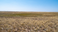 Карстовое поле на водоразделе Тасбулака и Акбулака. Август 2021 года