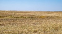 Карстовое поле на водоразделе Тасбулака и Акбулака