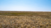 Карстовое поле на водоразделе Тасбулака и Акбулака. Август 2021 года