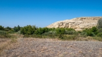 Гора Змеиная (Ханская гора, Могила хана, Михайловская гора). Август 2021 года