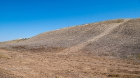 Гора Змеиная (Ханская гора, Могила хана, Михайловская гора). Август 2021 года