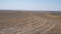 Гора Змеиная (Ханская гора, Могила хана, Михайловская гора)
