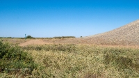 Гора Змеиная (Ханская гора, Могила хана, Михайловская гора). Август 2021 года
