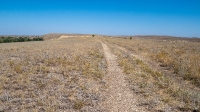 Гора Змеиная (Ханская гора, Могила хана, Михайловская гора). Август 2021 года