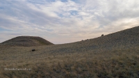 Гора Буркутбай