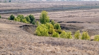 Бакский овраг