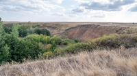 Кувандыкский район