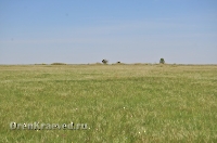 Шубинская степь