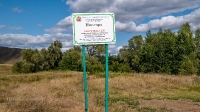 Нос-гора. Август 2018 года