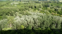 Гора Самбула