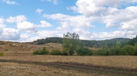Барский лес