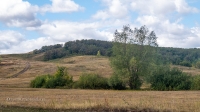 Барский лес
