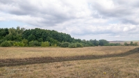 Барский лес
