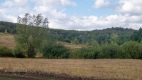 Барский лес