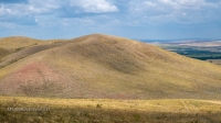 Козьи Горы