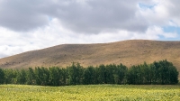 Козьи Горы