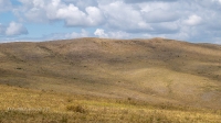 Козьи Горы