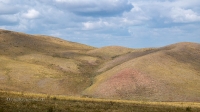 Козьи Горы