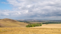 Козьи Горы