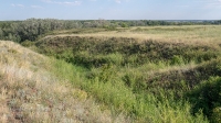 Урочище Красногоры