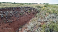 Урочище Красногоры