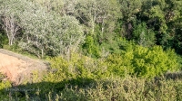 Урочище Красногоры