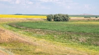 Карабаторская старица