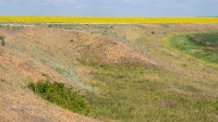 Карабаторская старица. Июль 2021 года