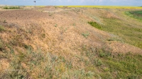 Карабаторская старица. Июль 2021 года