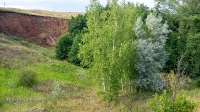 Раймановский оползень. Июль 2021 года