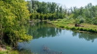 В районе затона Граневой старицы. Июль 2021 года