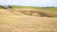 Карстовый участок Кульчум. Июль 2021 года