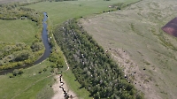 Урочище Березовая гора