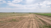 Озеро Копа. Июнь 2021 года