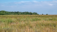 Карабутакские лески