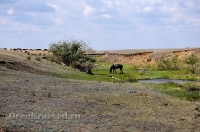 Родник Ащельсай (Аслисай). Июль 2012 года
