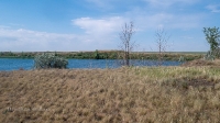 Ложковый карьер в Речном. Июнь 2021 года